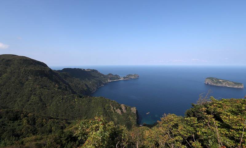 울릉도 특산물 및 대표 특산품 9가지